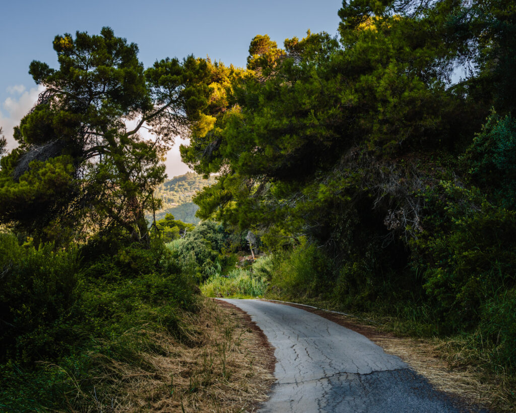 Corfu Impression