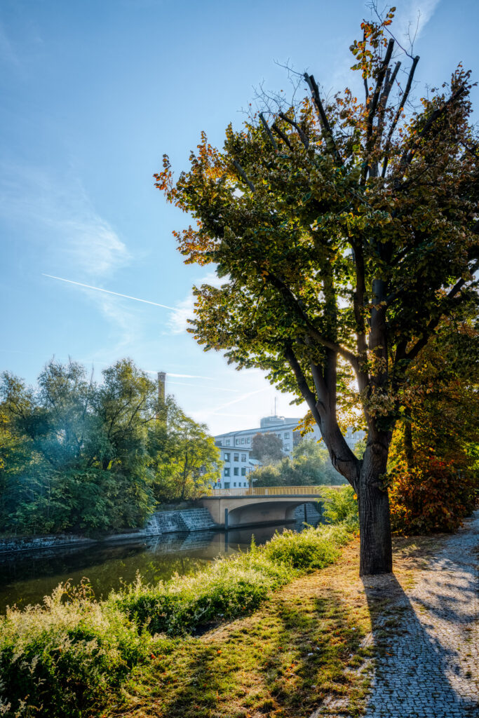 On the banks of the Landwehr Canal