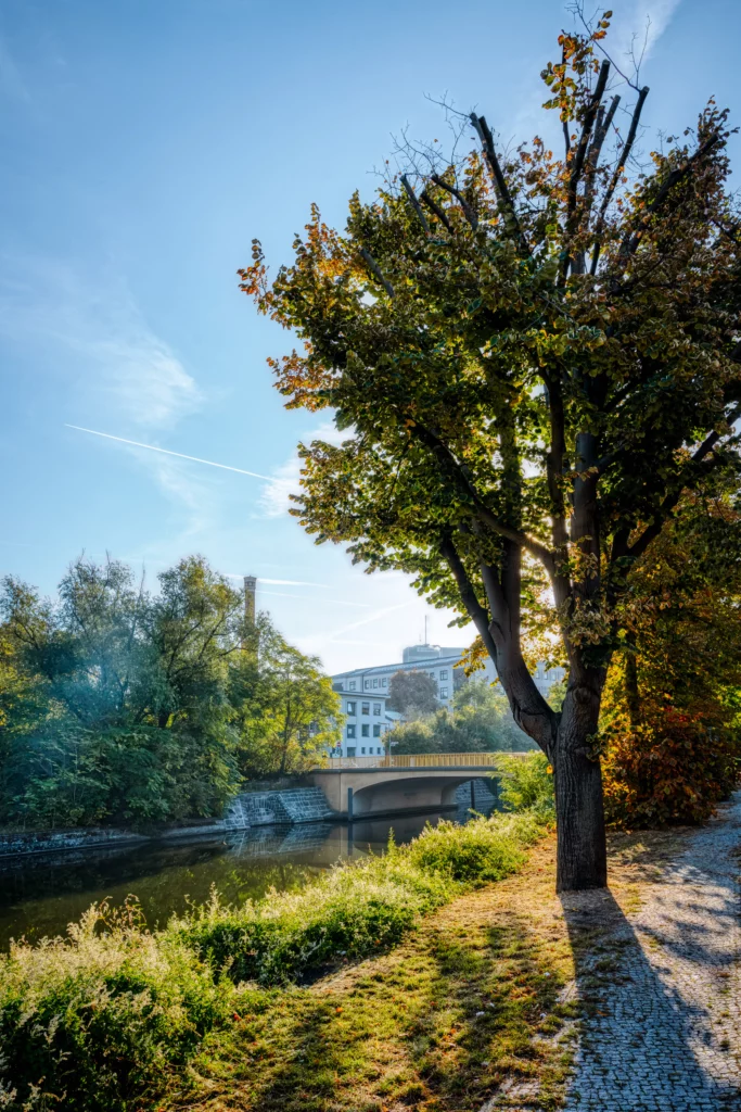On the banks of the Landwehr Canal