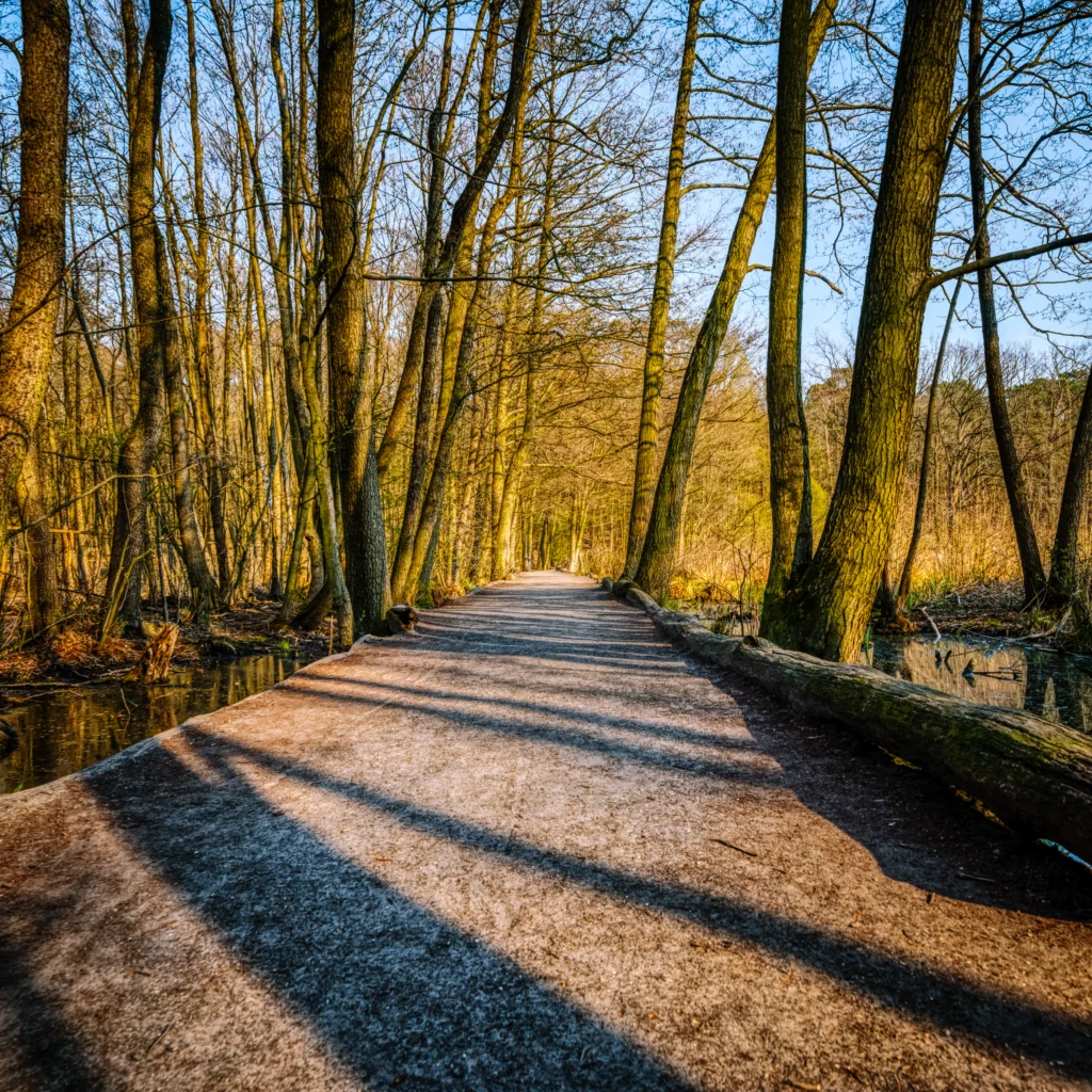 Shores and hiking trails around Grunewaldsee lake