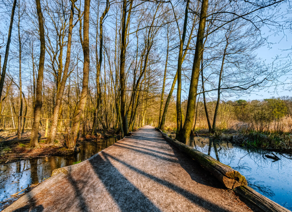 Shores and hiking trails around Grunewaldsee lake
