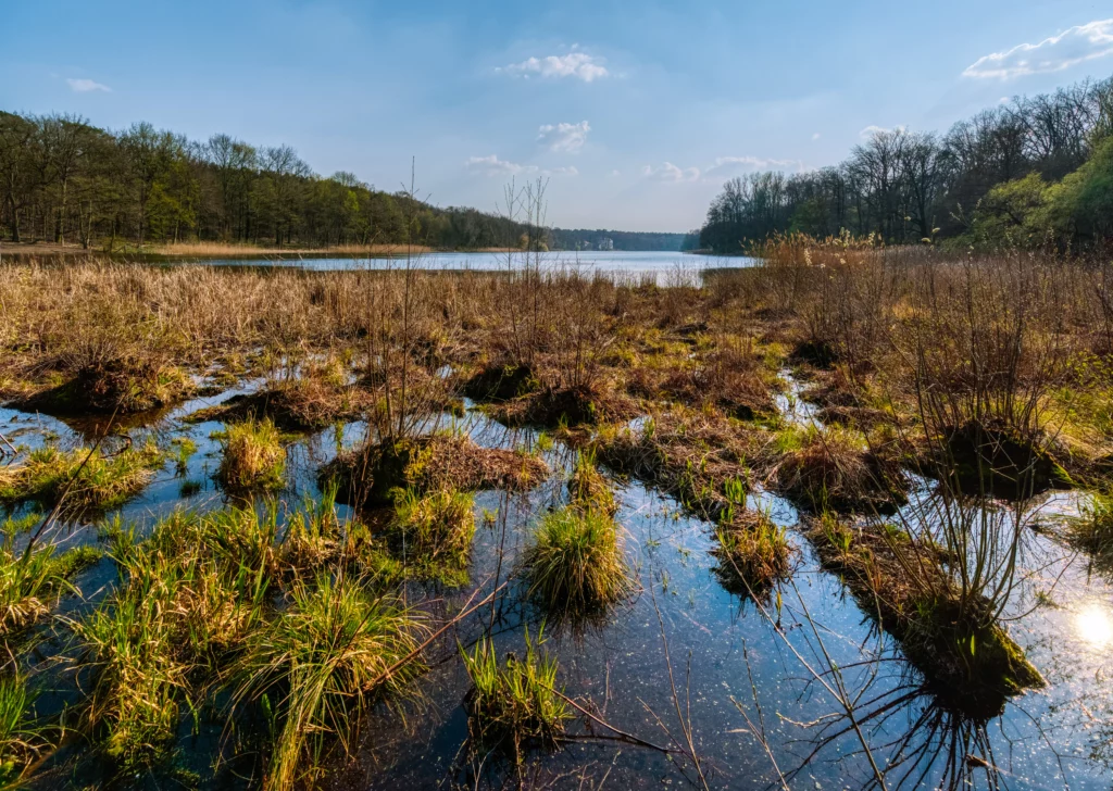 Shores and hiking trails around Grunewaldsee lake