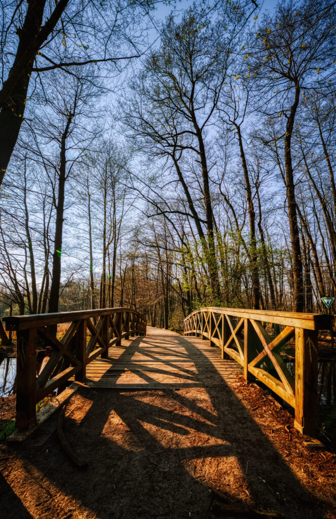 Shores and hiking trails around Grunewaldsee lake