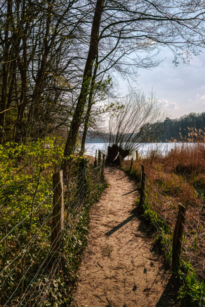 Shores and hiking trails around Grunewaldsee lake