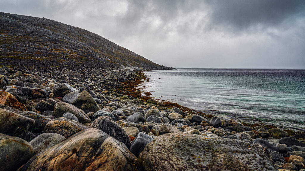 Kirkegårdsbukta, Forsøl
