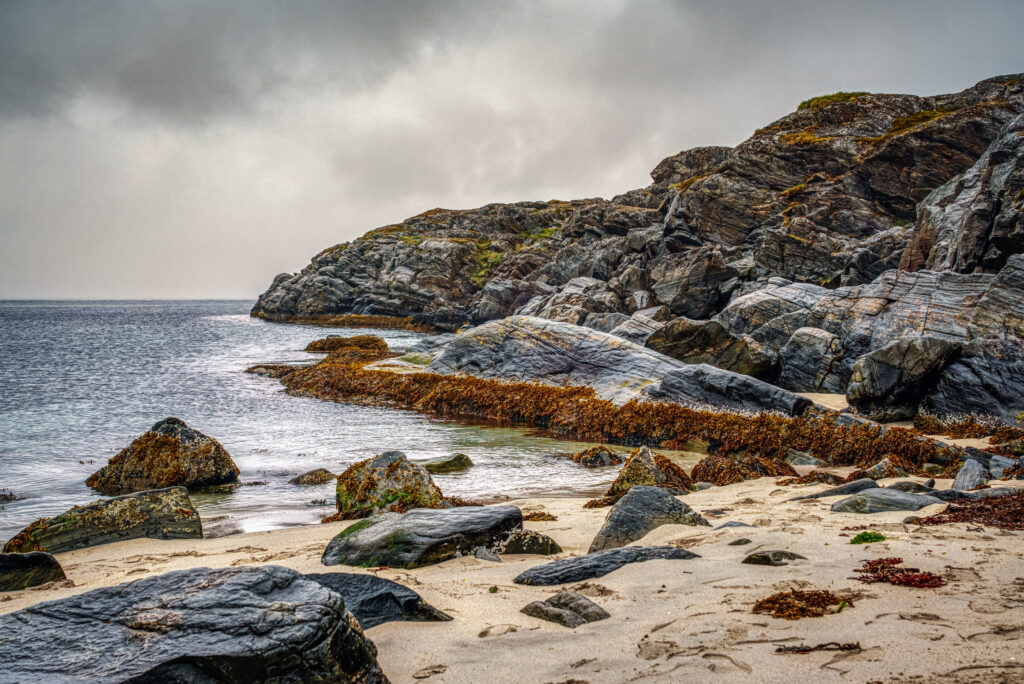 Kirkegårdsbukta, Forsøl