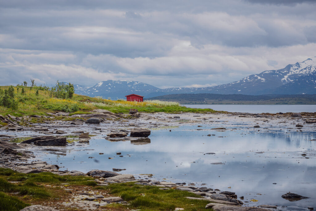 Lakjosen