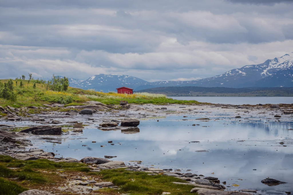 Lakjosen