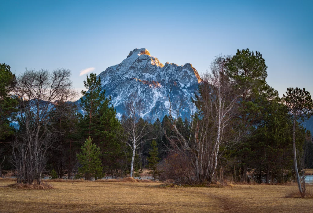 Mountain Säuling from Hopfensee shore