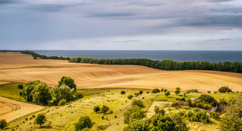 Grain fields at the Baltic coast