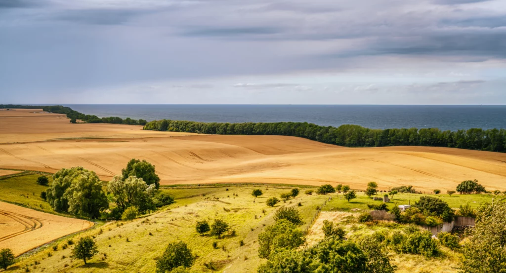Grain fields at the Baltic coast