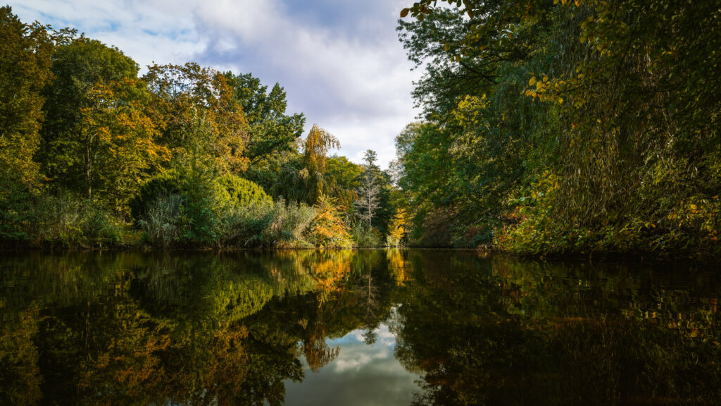 Tiergarten at Autumn