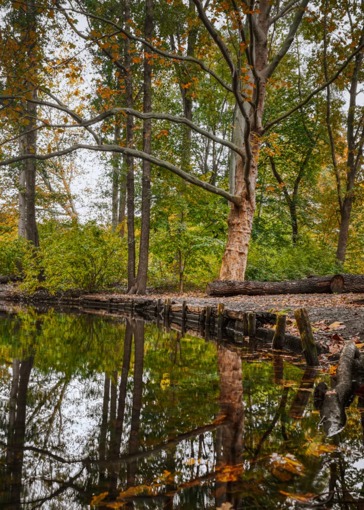 Tiergarten at Autumn