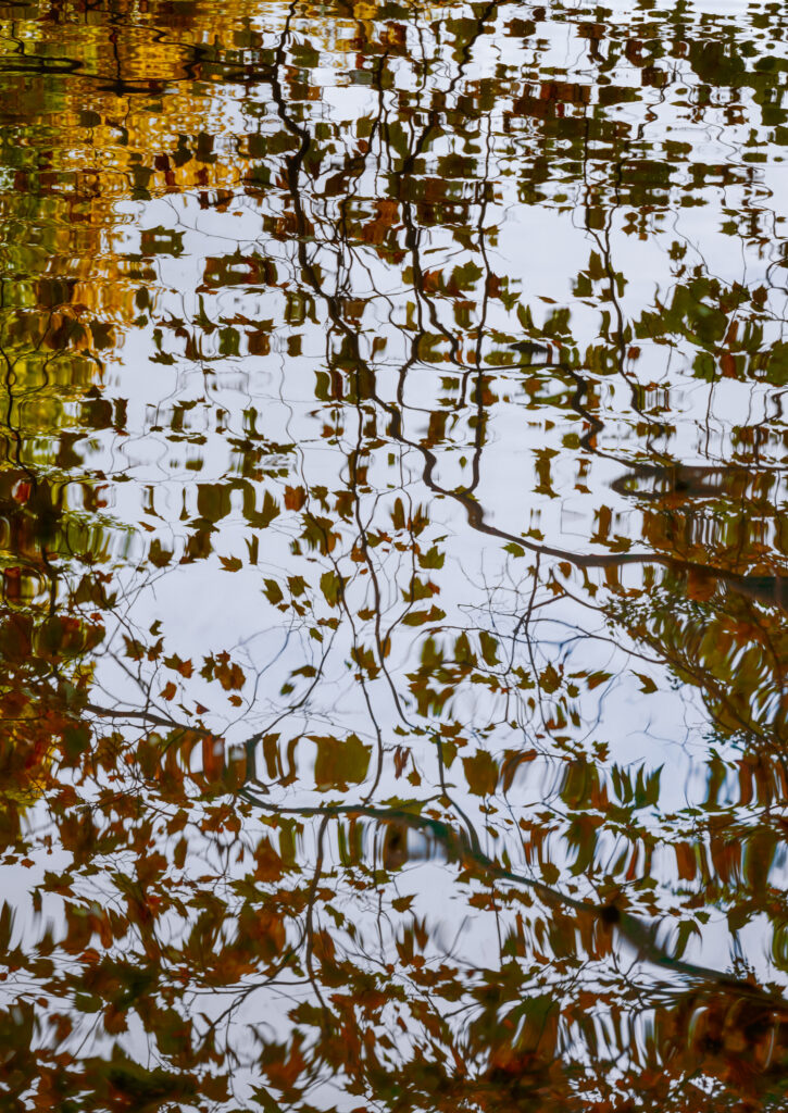 Water reflection at Tiergarten