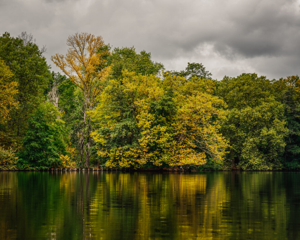 Tiergarten at Autumn
