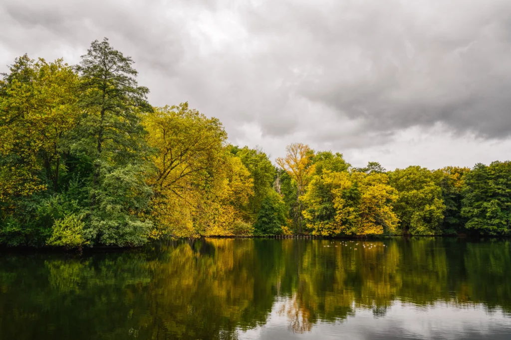 Tiergarten at Autumn