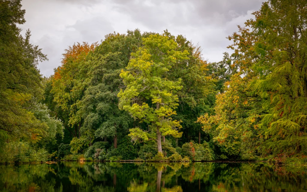 Tiergarten at Autumn
