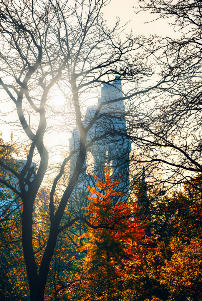 Autumn