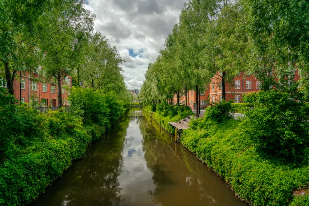 Aarhus Å lined with green plants and trees