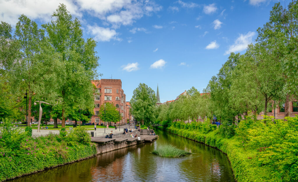 Aarhus Å lined with green plants and trees