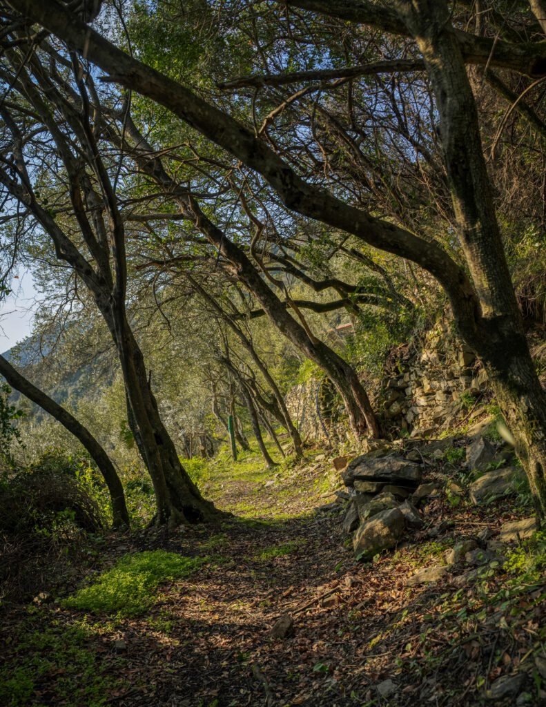 Hiking trail Sentiero Azzuro