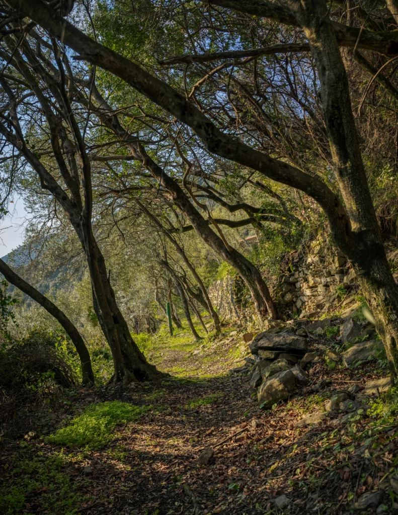 Hiking trail Sentiero Azzuro