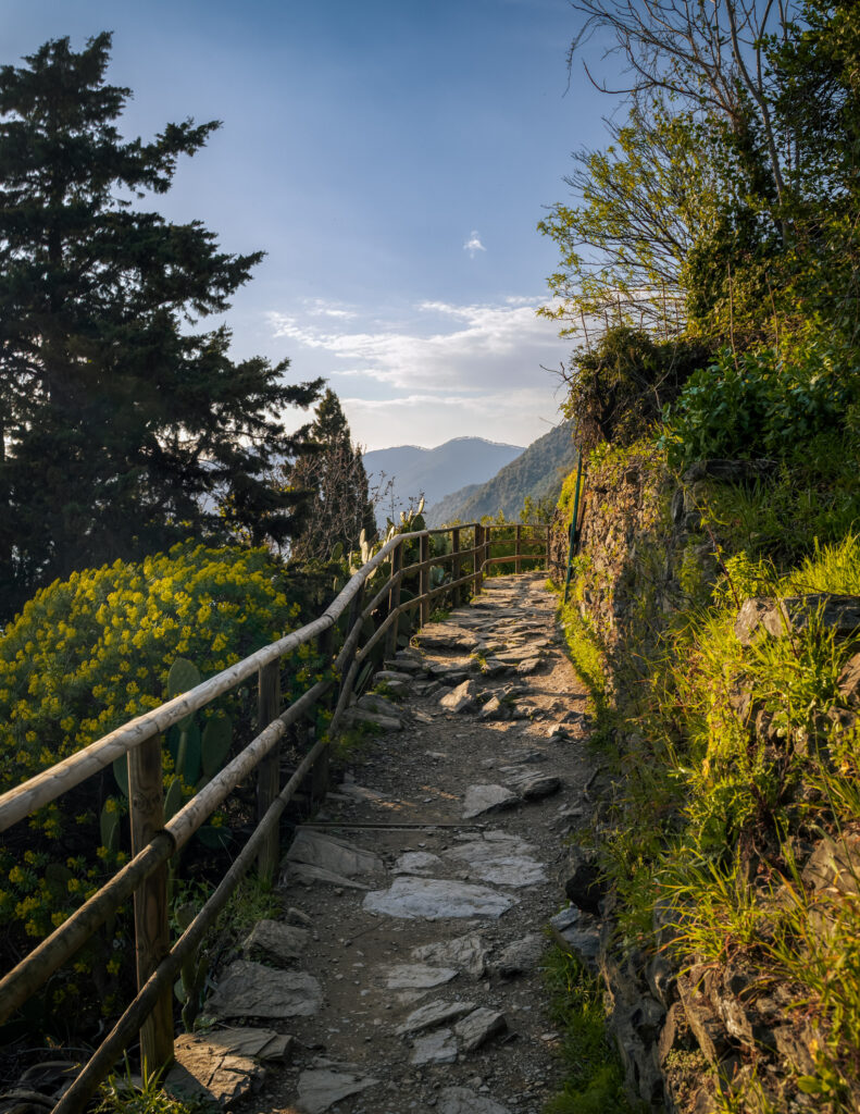 Hiking trail Sentiero Azzuro