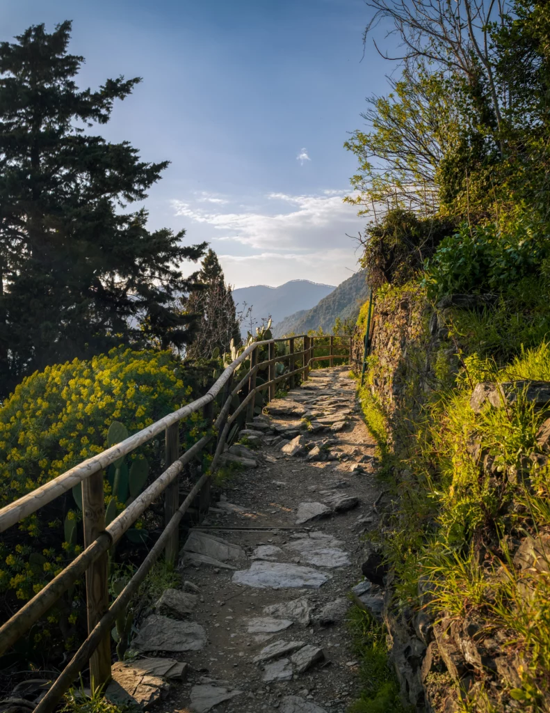 Hiking trail Sentiero Azzuro