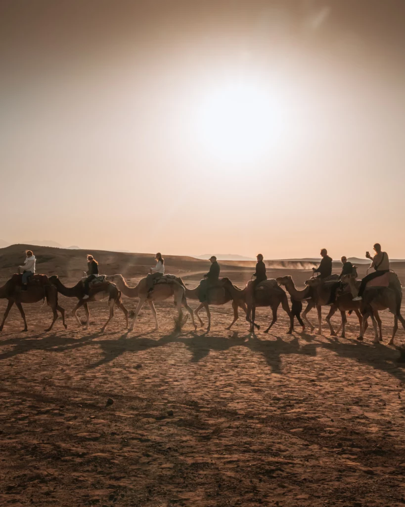 Caravan of with tourists riding dromedaries in the desert