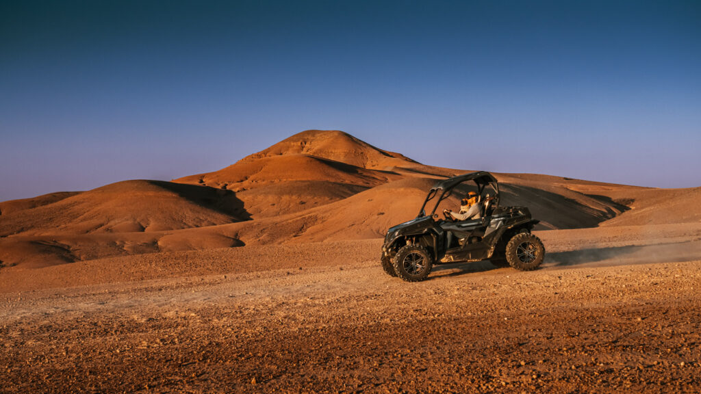 Buggy Adventures